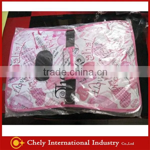 Fashionable shopping carrier pet bag,pet carrier,cat dog carrier bag