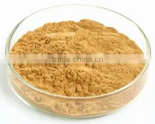 Hericium Erinaceus Extract Polysaccharides 30% (UV-VIS)