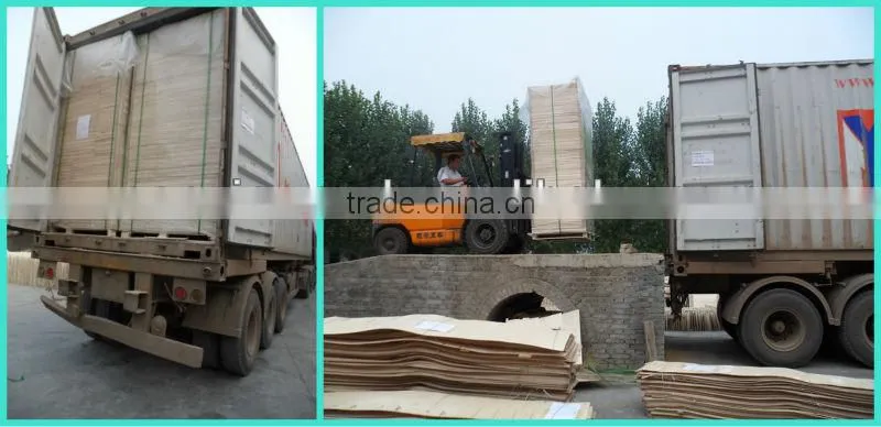 paulownia raw lumber