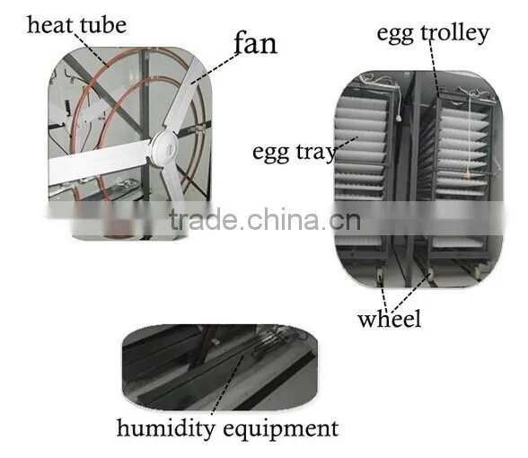 multifunctional quail egg incubator machine