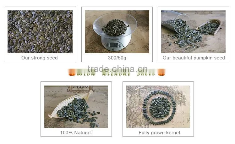 Organic pumpkin seeds kernel GWS