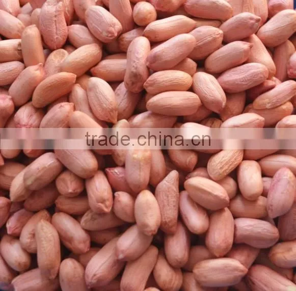 wholesale peanuts