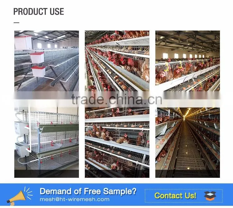 30 Years' factory supply automatic chicken nest
