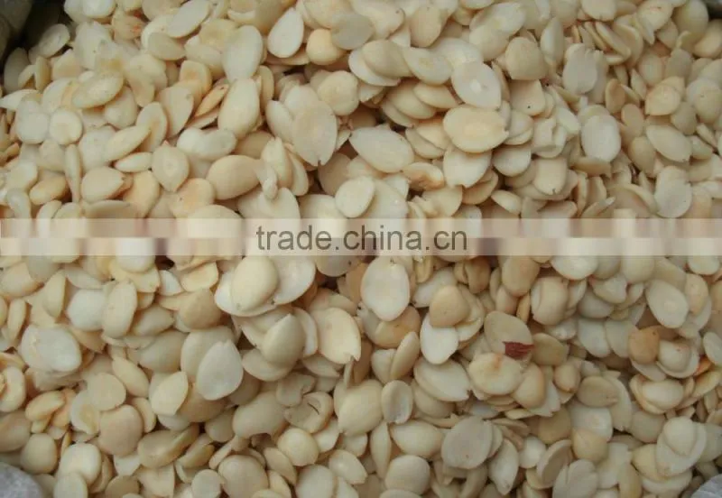 Apricot Seed/Hazelnut Shelling Machine|Shell&Kernel Separating Machine
