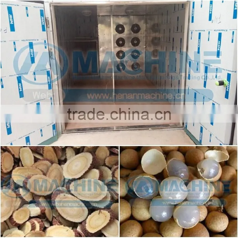 Stainless fruits dryer machine with lowest price