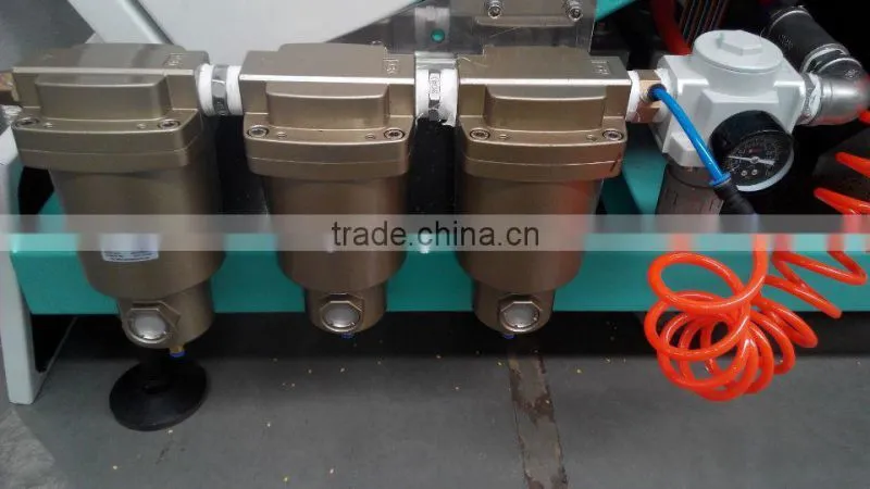 Anhui Hongshi High-Tech, Garlic CCD Color Sorter