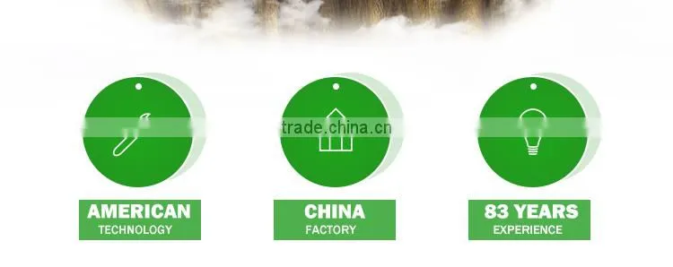 Vegetable commercial film low cost greenhouse multi span high quality for agriculture