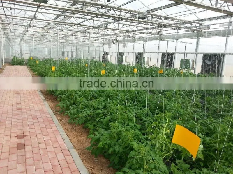 All PC board greenhouse intelligent system