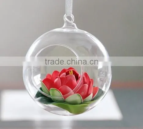 Air Plant Glass Terrarium, Handblown Glass Terrarium
