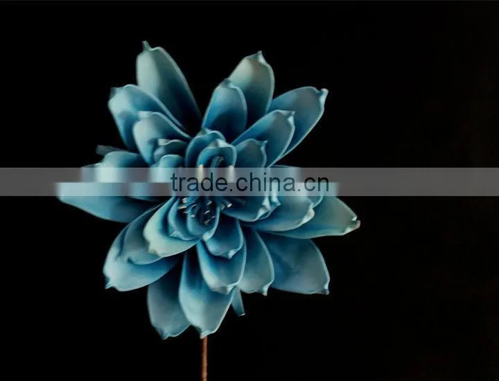 wholesale alibaba large indoor tropical plants