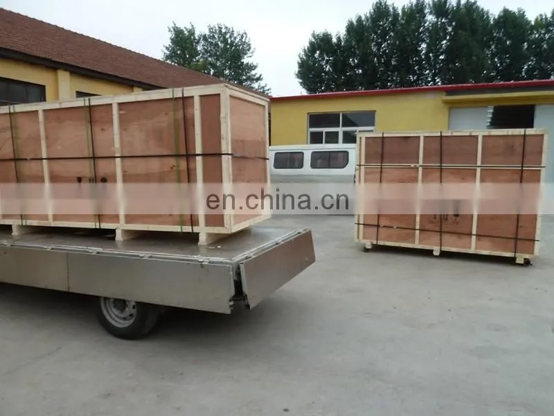 Fruits and Vegetables Washing machine, air and water bubble vegetable washing machine