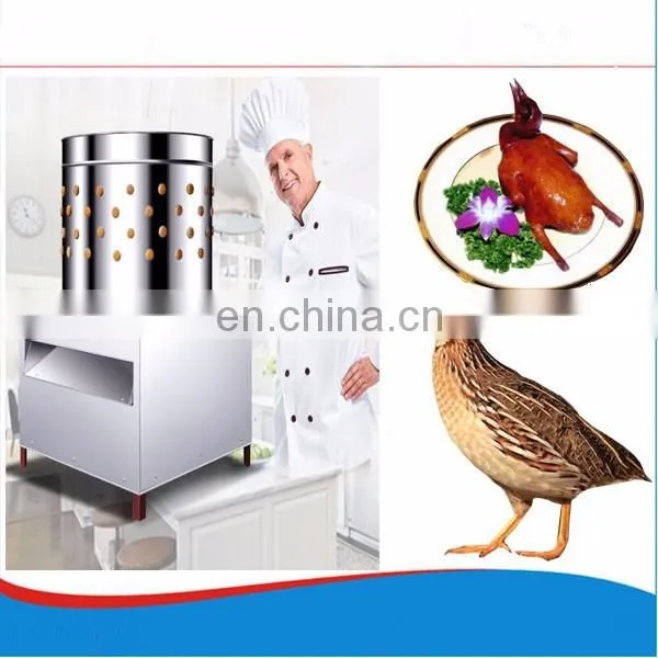 98% Unhairing Rate Chicken Plucking Machine Chicken Killing Machine For Sale