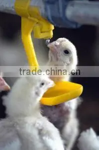 water nipple drinker chicken for poutry equipment