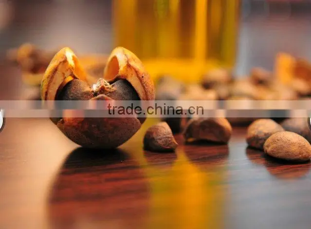 100% pure natural refined camellia oil