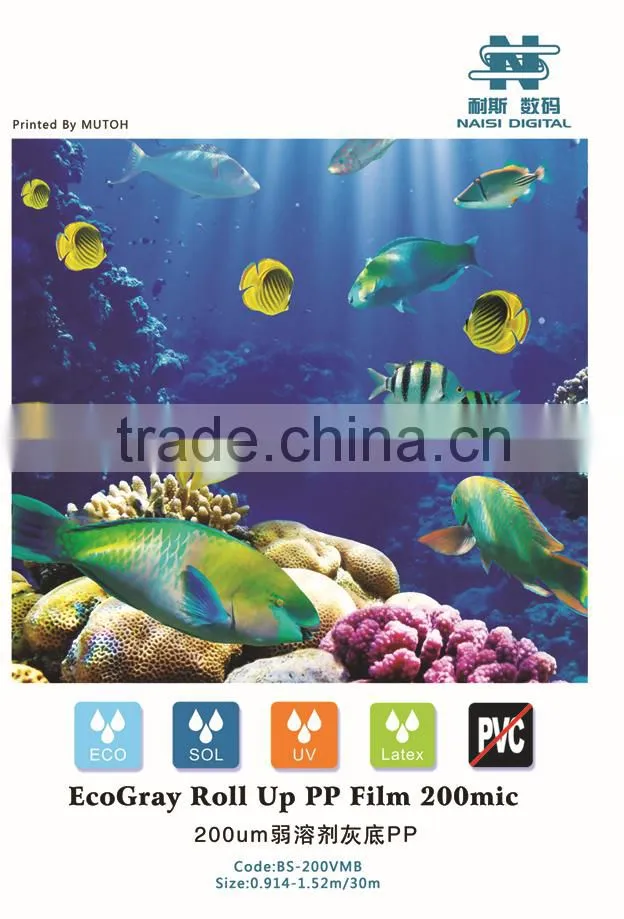Economic PP grey back roll up media 200mic