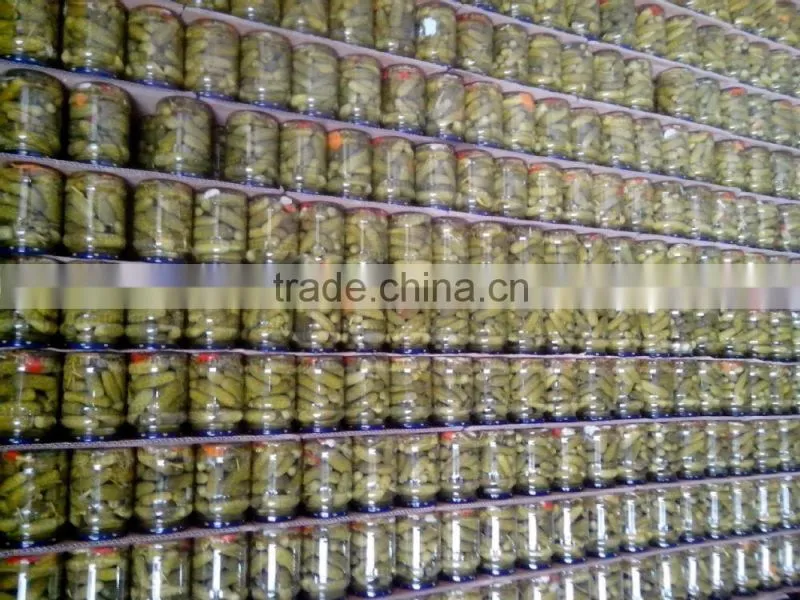 High quality Canned Pickled Cucumber