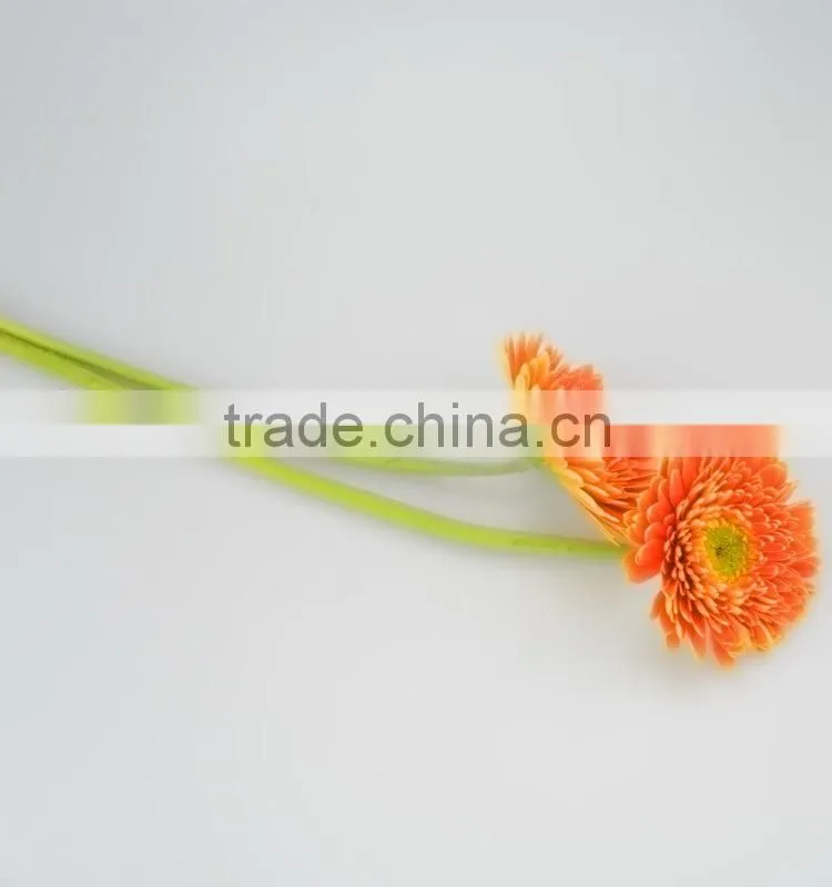 Popular Golden Sun exquisite wedding flowers gerberas