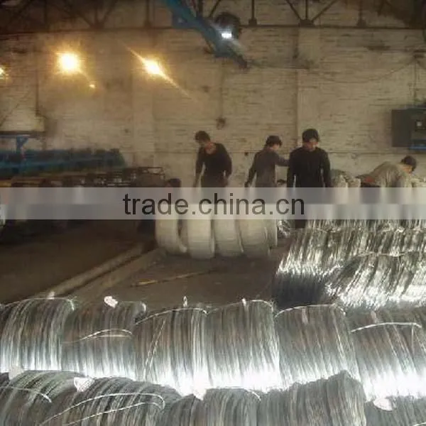 Electro Galvanized Iron Wire