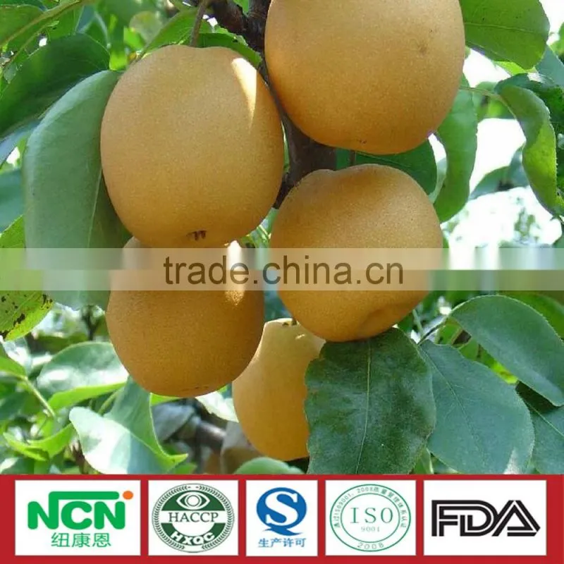 2016 Fresh Grown pear
