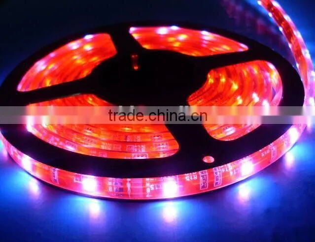100% waterproof SMD led strip light 12V 24V