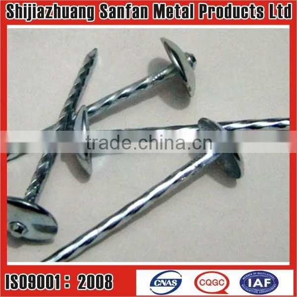 Roofing coil nails