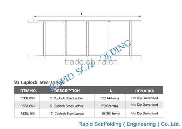 Folding Ladder