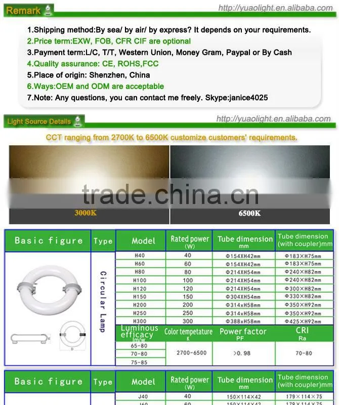 eco friendly induction magnetic lamp