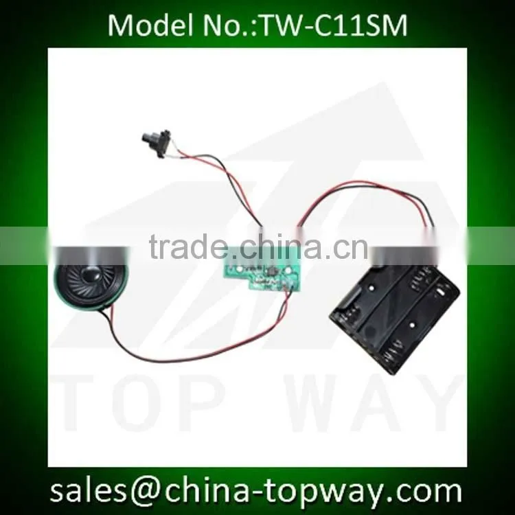 Programmable sound chip recordable modules with motion sensor