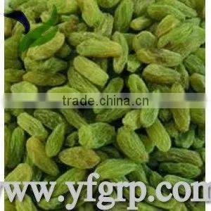 sun drie fresh sweet green raisin with good price