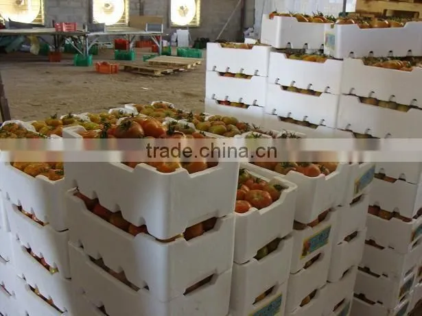 Flame Retardant EPS Material Expandable Polystyrene Styrofoam EPS Beads