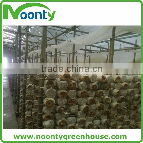 Greenhouses for Mushroom