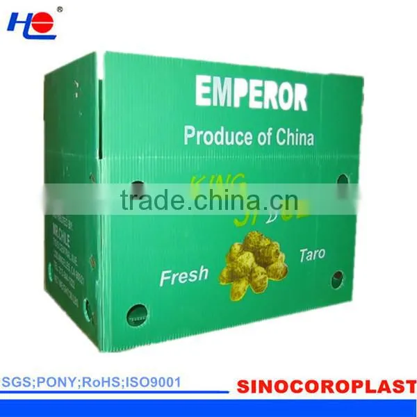 PP Corrugated Mailing Shipping Box