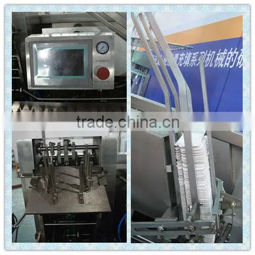 ZH-100 Automatic Horizontal Cartoner Machine