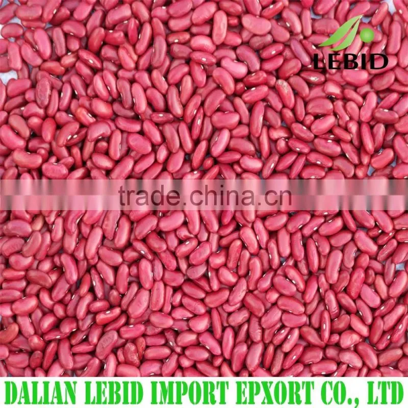 High quality white kidney beans spanish type