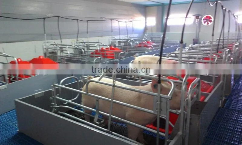 Pig Equipment Hot Galvanzied Factory Supply Farrowing To Finish