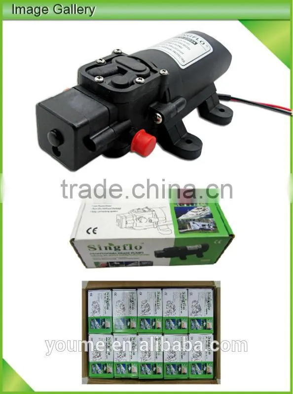 DC Pest control pressure sprayer pump