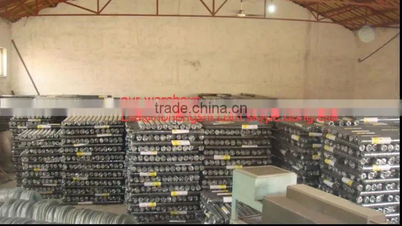 Hexagonal Mesh/Hexagonal Wire Mesh