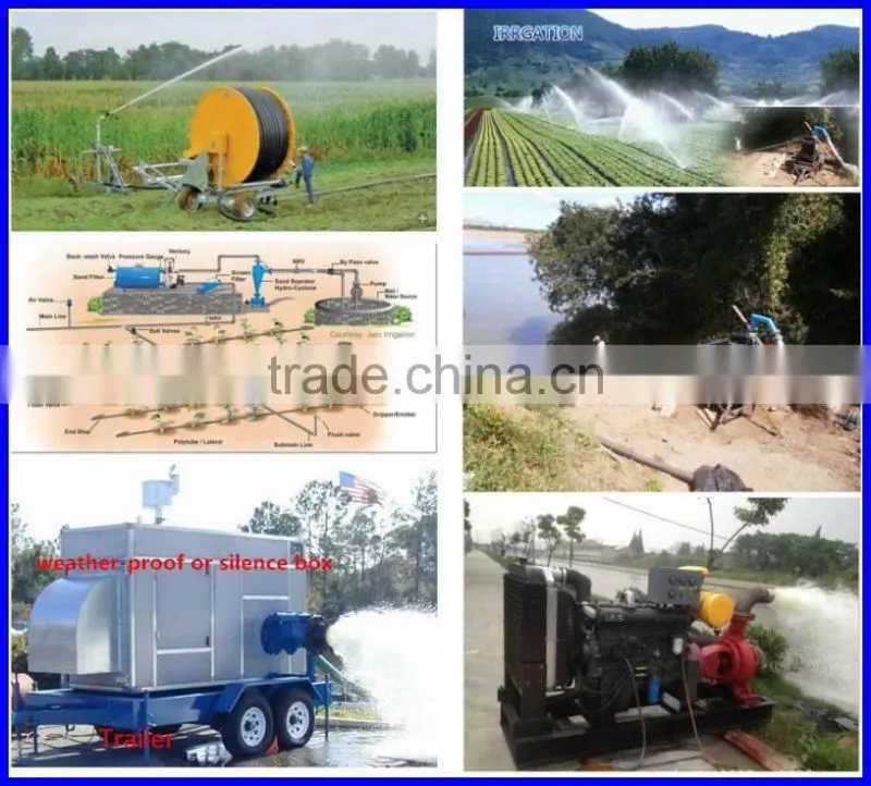 Back Pull Out End Suction Diesel Pump