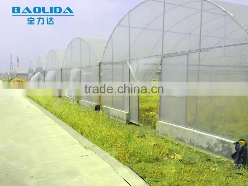 Professional Plastic Film Greenhouse Project Commercial Hydroponic Systems