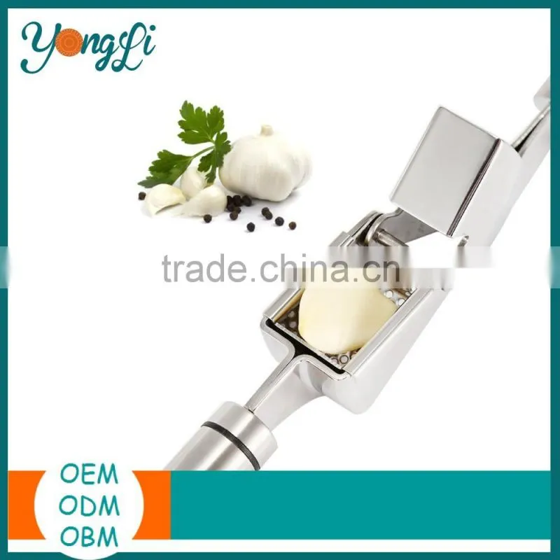 Stainless Steel Handled Garlic Press Crush Garlic Cloves Ginger