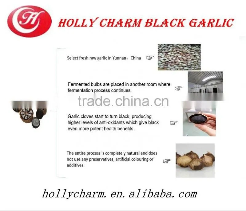 Best Gifts Promoting and Enhancing Health Solo Black Garlic