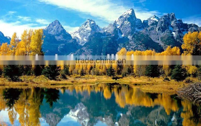 customized el animation poster (factory price, good quality, timely delivery)