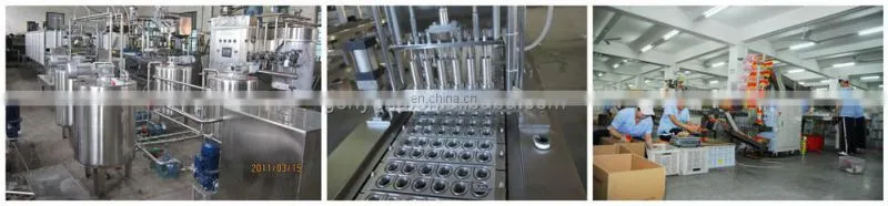Assorted fruit pudding jelly/jelly candy production line