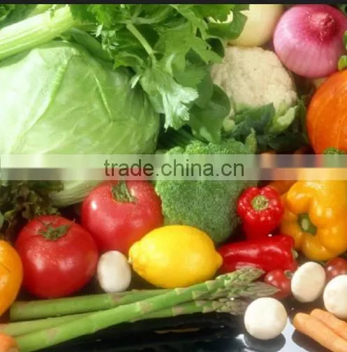 TJ - 309 Production Line Connected Large Type Vegetable Cutter