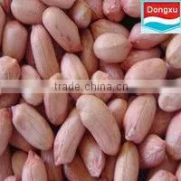 groundnut kernels peanuts