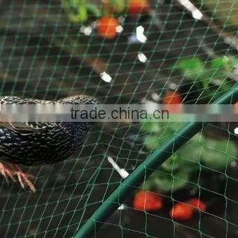 100% PP Plastic Anti-bird net for fruit manufacture