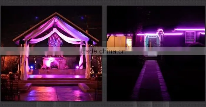 120V Wedding Party Decoration Blue and Pink Chasing LED Neon Light