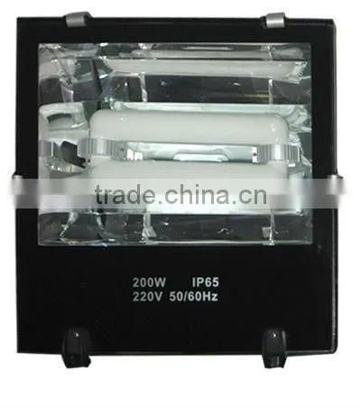 electrodeless induction lamp for flood light