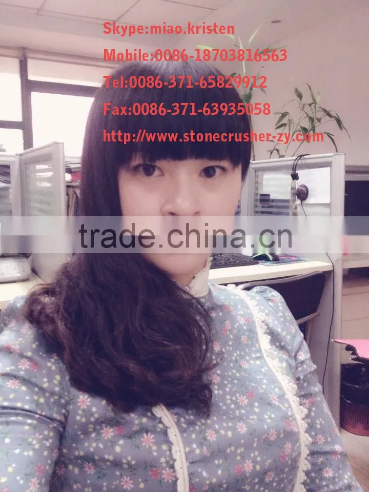 China Good Performance PE 150x250 Low Investment Small Diesel Engine Jaw Crusher