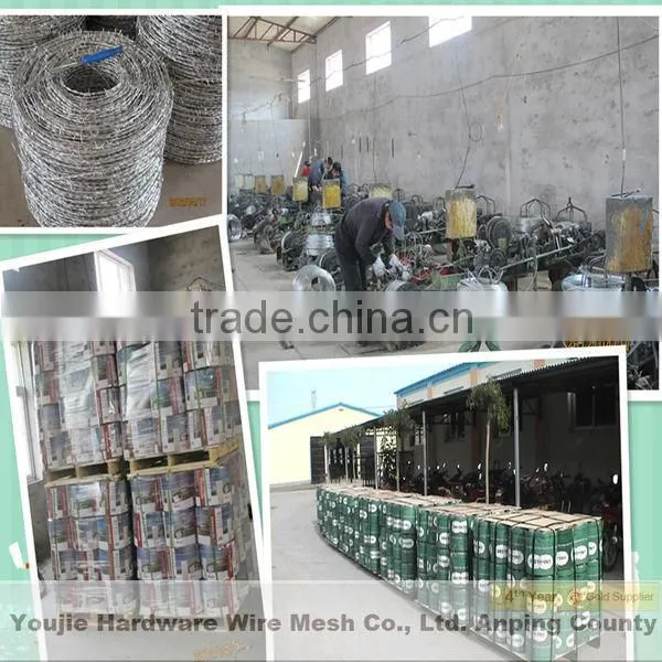 Galvanized Barbed Wire Mesh (peofessional factory ISO9001)